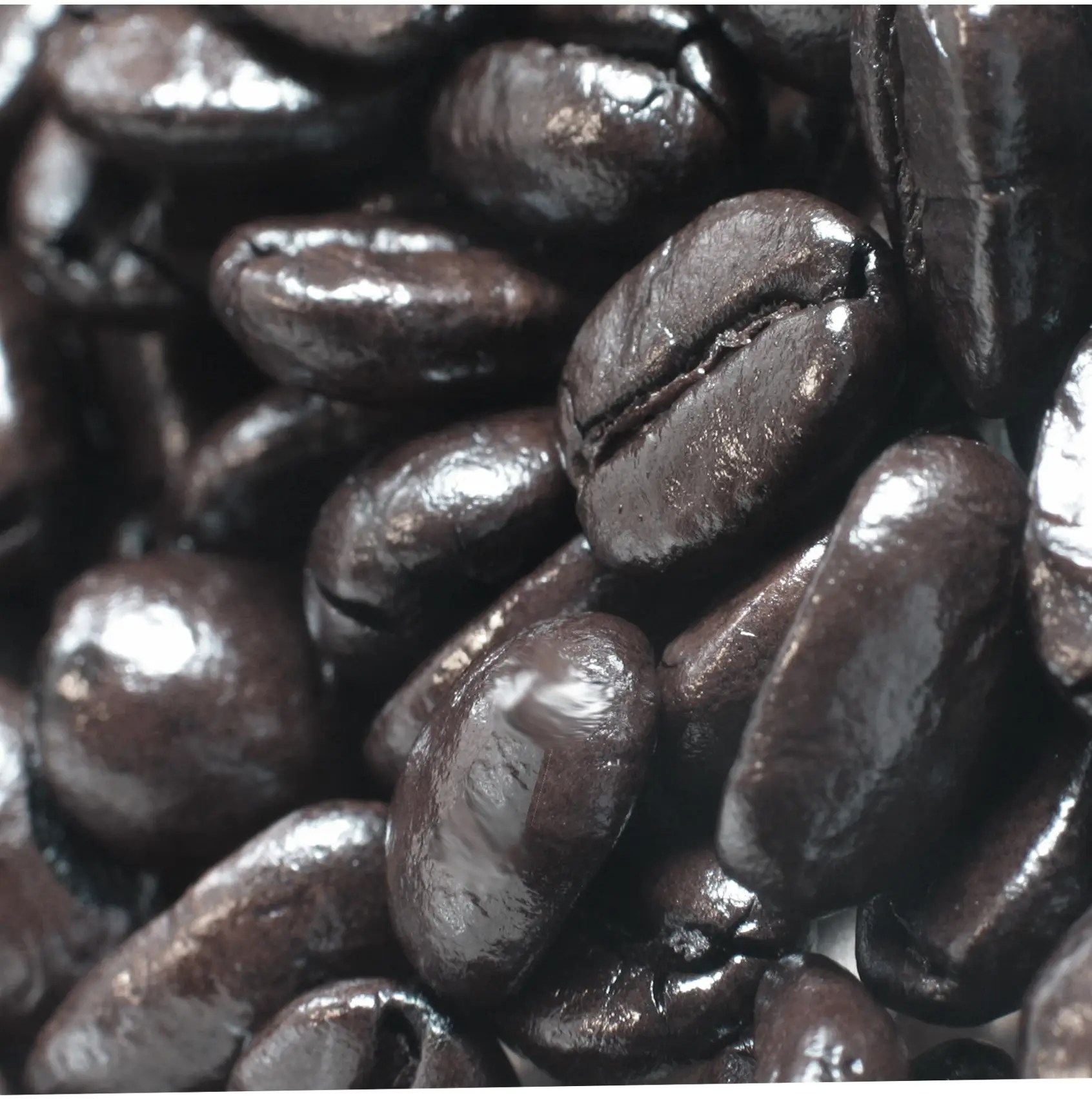 Café torrefacto